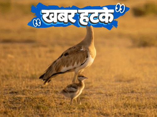 Khabar Hatke | Gas From Drain Fuels Stove | Student Sells Kidney For MBA