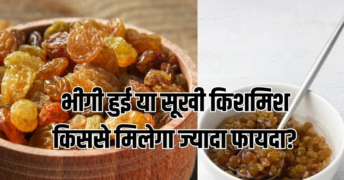 Dry Vs Soaked Raisins: भीगी हुई या सूखी? क्या है किशमिश खाने का सही तरीका, जानें फायदे