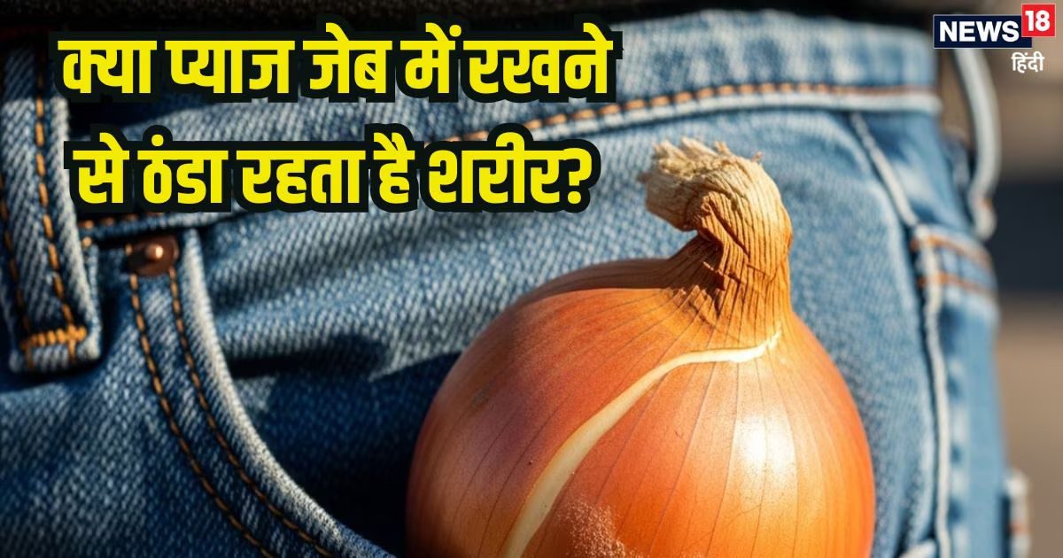 प्याज को पॉकेट में रखेंगे तो गर्मी में ठंडा रहेगा शरीर, ज्योतिरादित्य सिंधिया की इस बात में कितना दम? जानें साइंटिफिक फैक्ट