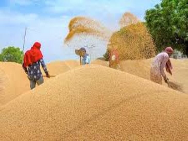 सर्वे में देरी:सैटेलाइट सर्वे में उलझा 3 लाख किसानों का पंजीयन, मंडी के बजाय तहसीलों के चक्कर