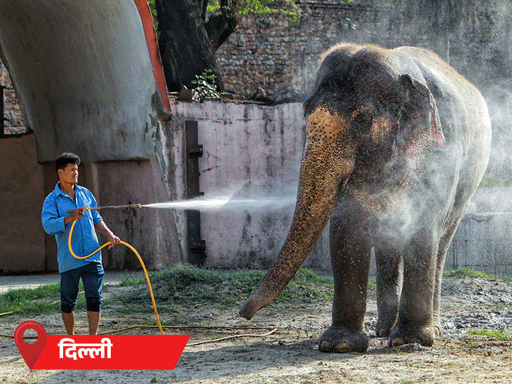 IMD Weather Update; MP UP Rajasthan Heatwave Loo Alert