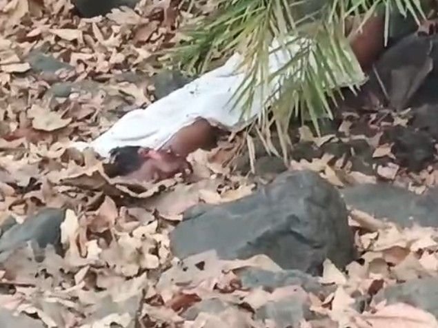 छिंदवाड़ा में टाइगर अटैक के बाद दहशत में ग्रामीण:महुआ बीनने जाने पर जान का खतरा, अब भी बाघ का बना हुआ मूवमेंट