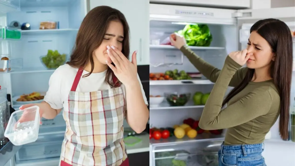 <!-- HTML_TAG_START --><p>बिना ढके रखा गया खाना अपनी गंध बर्फ और दीवारों में छोड़ देता है। फ्रीजर में नमी के कारण फफूंद जम सकती है जो बर्फ को बदबूदार बना देती है।<br>&nbsp;</p><!-- HTML_TAG_END --> <span class="graytxt">Image: Freepik</span>