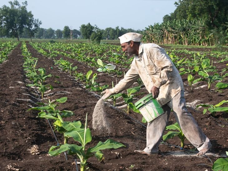 India Fertilizer Production Crisis Reason; Iran War - LNG Supply