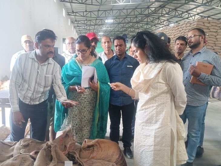 सीएम के संभावित निरीक्षण की सुगबुगाहट, प्रशासन अलर्ट:कलेक्टर समेत एसडीएम अलग-अलग गेहूं उपार्जन केंद्रों पर पहुंचे; एक केंद्र प्रभारी को नोटिस