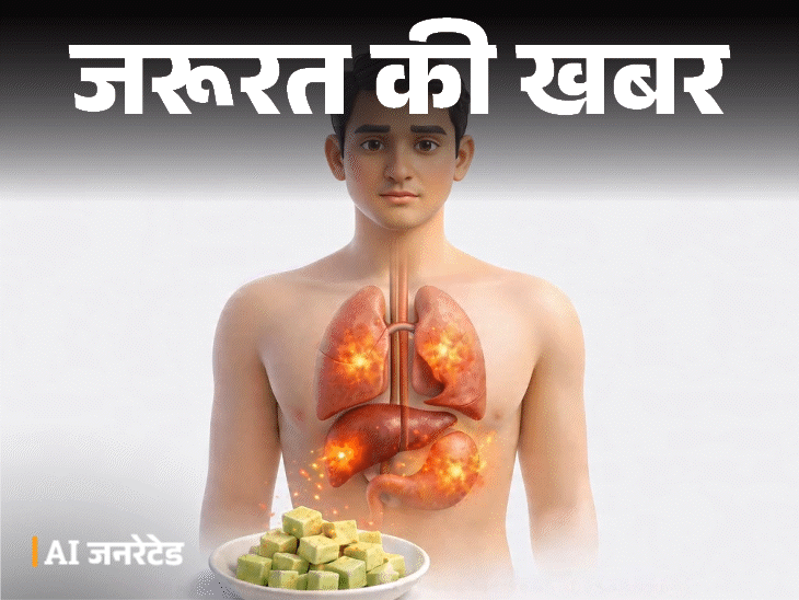 Surat Paneer Racket Busted; Real Vs Fake Cottage Cheese Identify