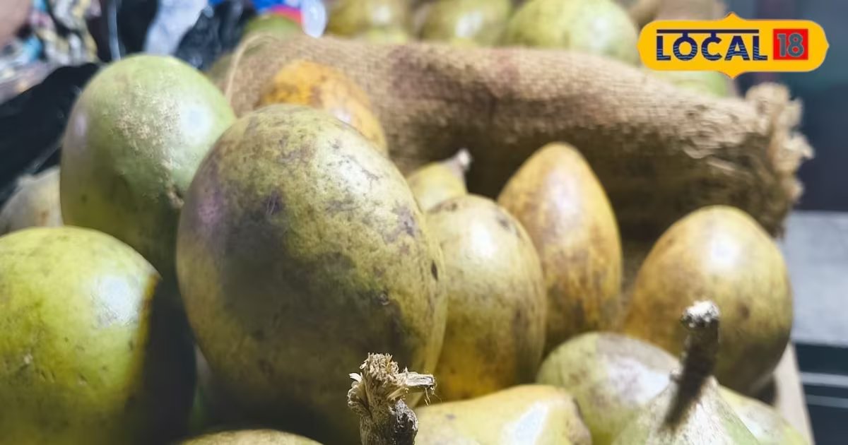 सिर्फ पेट के लिए नहीं, कैंसर से लड़ने में भी कारगर हो सकता है बेल! रिसर्च में बड़ा खुलासा