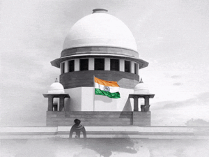 Supreme Court Stray Dog Verdict Today