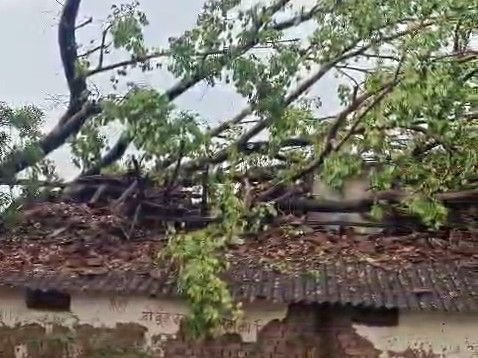 रायसेन में आंधी-तूफान से बिजली गुल, पोल गिरे:दिन के तापमान में 3 और रात में 8 डिग्री की गिरावट से राहत, किसानों की उपज पर संकट
