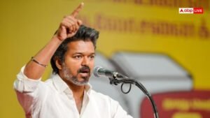 तमिल: विजय की पार्टी टीवीके के सभी 108 विधायक छोड़ देंगे, अगर डीएमके या एआईएडीएमके ने उठाया ये कदम