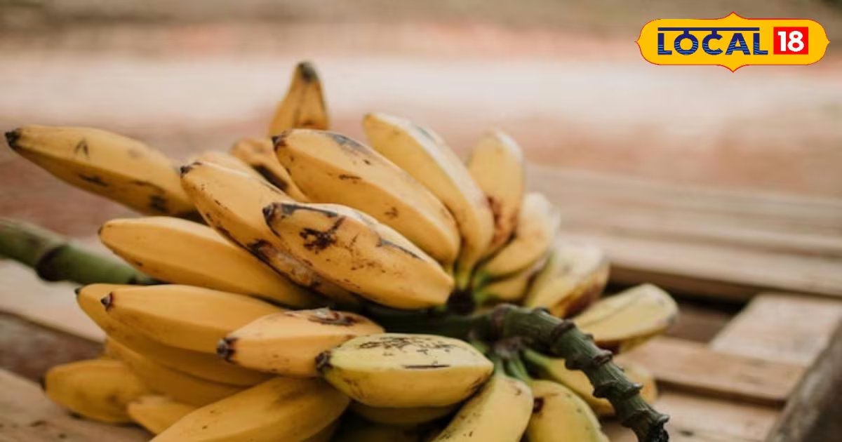 काले धब्बों वाला केला नुकसानदायक या फायदेमंद? एक्सपर्ट से समझें सब