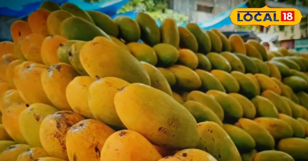 रूक जाओ... गर्मियों में रोज आम खाने वाले हो जाएं अलर्ट, सेवन से पहले की ये एक बड़ी गलती बना सकती है आपको बीमार