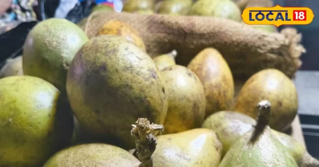 बेल के गूदा से बनेगी कैंसर की सस्ती दवा, पटना के वैज्ञानिकों का दावा, चूहों में ट्यूमर हुआ खत्म, रिसर्च नेचर जर्नल में प्रकाशित