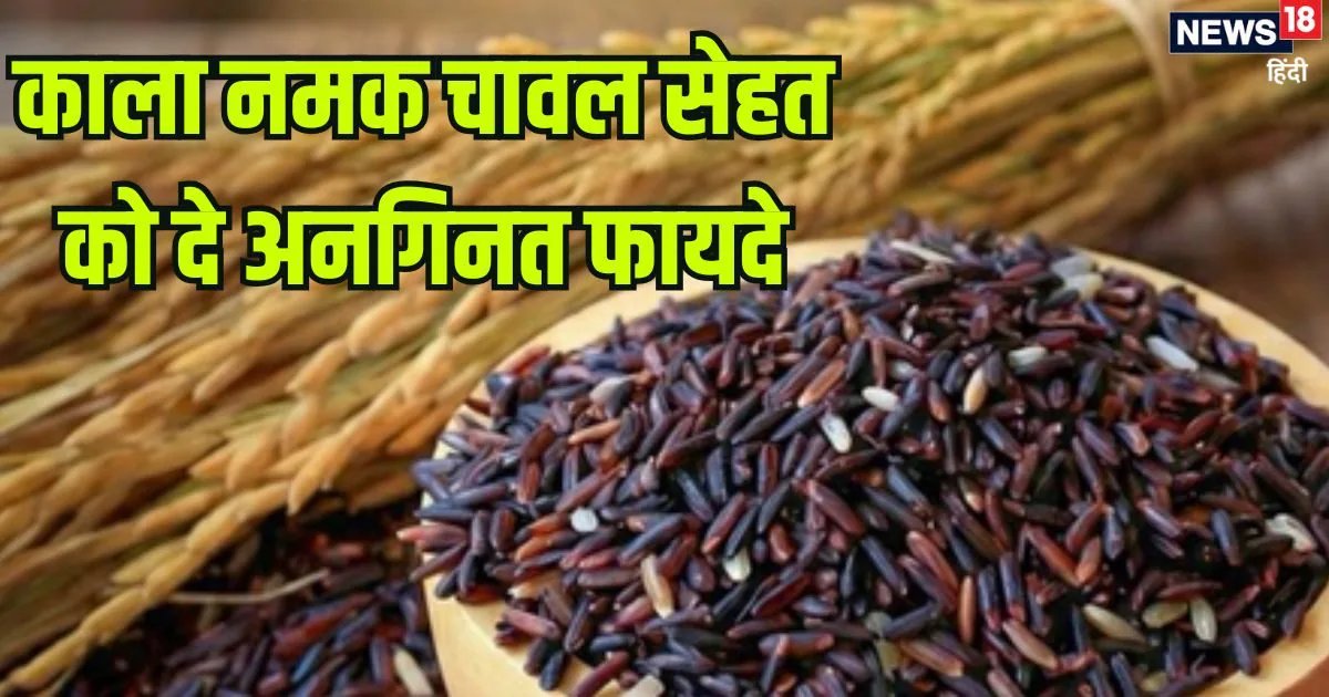 'काला नमक राइस' के आगे हर वेरायटी है फेल, एक-एक दाने में सेहत का खजाना, जबरदस्त हैं इस चावल के फायदे
