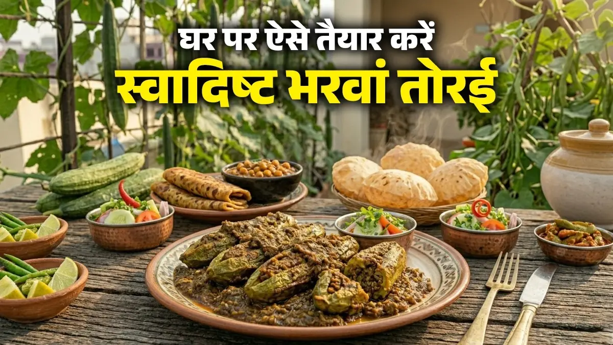 <!-- HTML_TAG_START --><p><strong>सामग्री</strong></p><ul><li>10 तोरई</li><li>&nbsp;लाल मिर्च पाउडर</li><li>आधा चम्मच हल्दी पाउडर</li><li>2 चम्मच धनिया पाउडर</li><li>आधा चम्मच सौंफ पाउडर</li><li>आधा चम्मच अमचूर पाउडर</li><li>4 चम्मच तेल</li><li>एक चुटकी हींग</li><li>आधा चम्मच जीरा</li><li>2 बड़े प्याज</li><li>4 लहसुन कलियां&nbsp;</li><li>स्वादानुसार नमक</li></ul><!-- HTML_TAG_END --> <span class="graytxt">Image: freepik</span>
