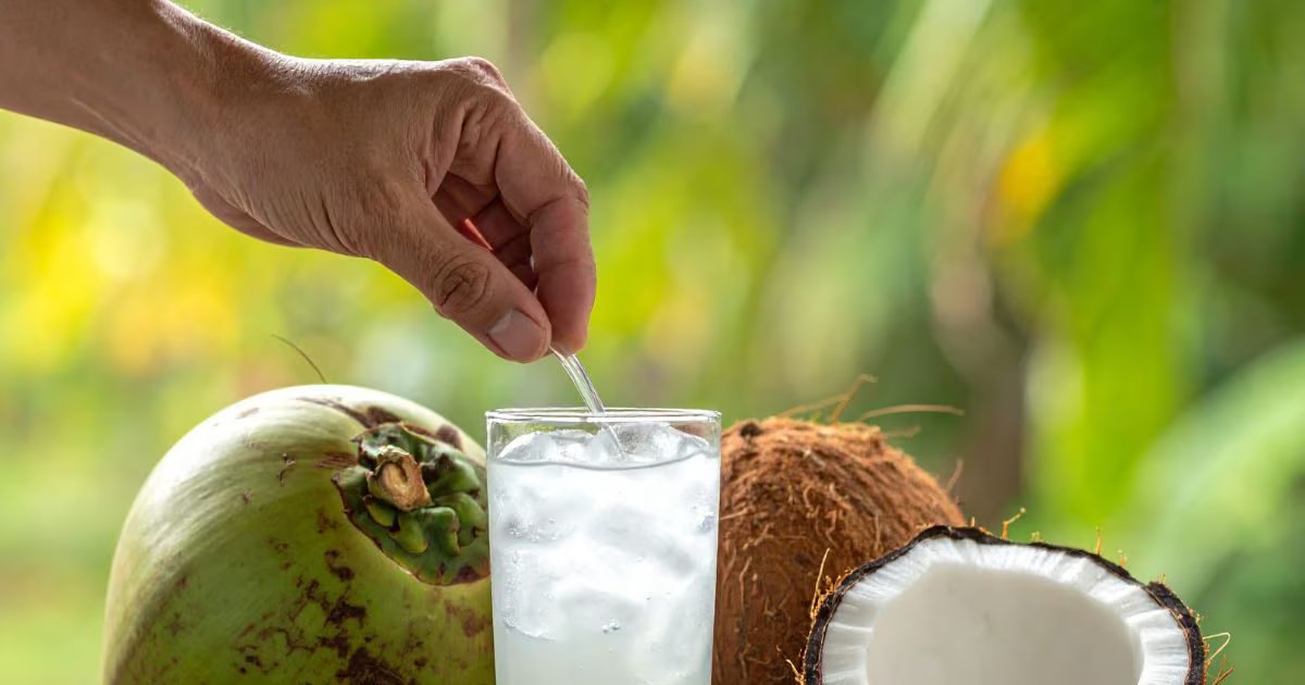 ताजा या फ्रिज वाला, कौन सा नारियल पानी है हेल्थ के लिए पॉवरफुल? एक्सपर्ट से समझें