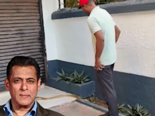 Salman Khan Galaxy Apartment Snake Rescue