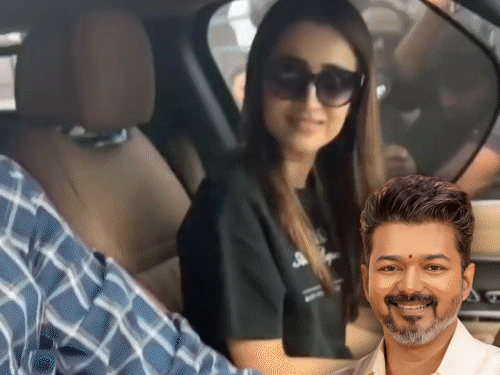 Chennai Actress Trisha Krishnan Reacts to Thalapathy Vijay Fan Greeting