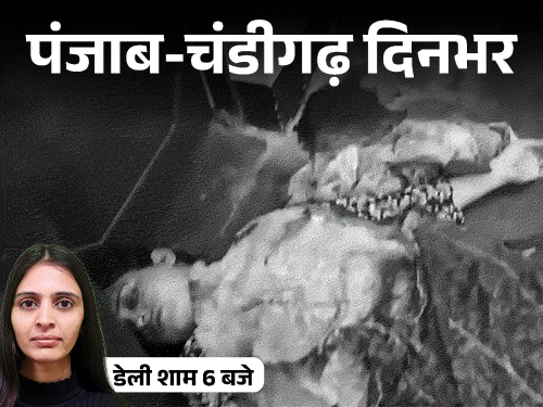 Punjab Chandigarh Top News; wife murder | AAP MLA Clashes with Gangster | CM Mann