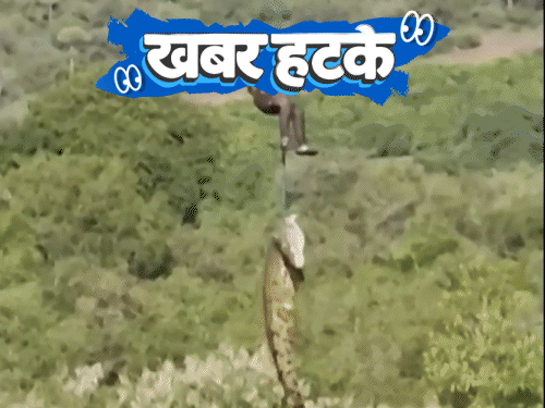 Khabar Hatke- UP Youth Arrested for Bones Theft; Crocodile Arrested; Supermodel Statue