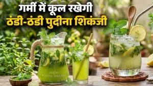 गर्मियों में ठंडक देने वाले पेय के लिए पुदीना शिकंजी ड्रिंक, 5 मिनट में पुदीना नींबू शिकंजी रेसिपी