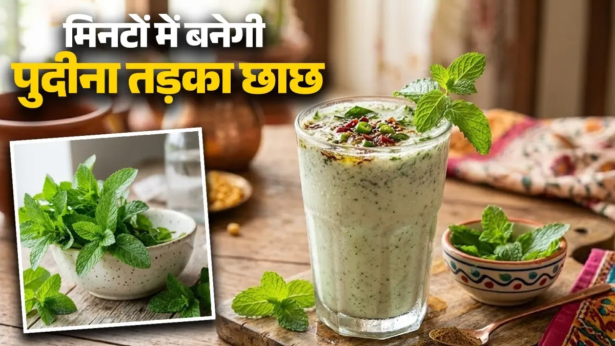 <!-- HTML_TAG_START --><p><strong>सामग्री:</strong> 2 कप ठंडी छाछ, 8-10 पुदीने की पत्तियां, 1 हरी मिर्च, 1/2 छोटा चम्मच भुना जीरा पाउडर, स्वादानुसार काला नमक, नमक, 1/2 छोटा चम्मच घी, 1/2 छोटा चम्मच राई, चुटकीभर हींग, थोड़ी सी करी पत्ता</p><p>&nbsp;</p><!-- HTML_TAG_END --> <span class="graytxt">Image: AI</span>