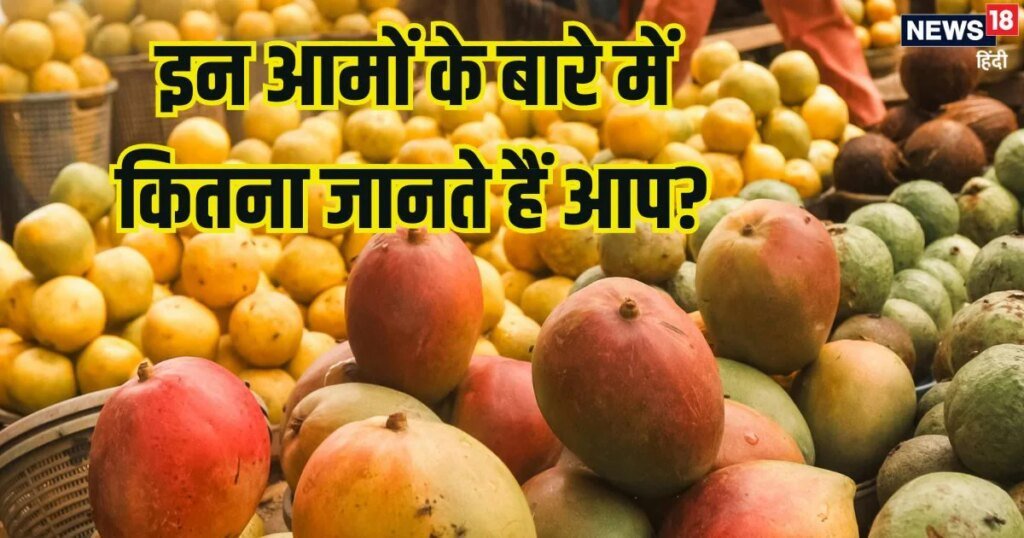 नूर जहां, लक्ष्मणभोग से लेकर इमाम पसंद का नाम सुना है? ये हैं देश के रेयर आम,स्वाद, आकार, रंग में जबरदस्त