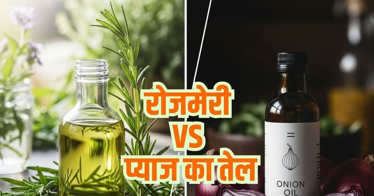 रोजमेरी vs प्याज तेल: बालों की ग्रोथ और मजबूती के लिए कौन सा ज्यादा फायदेमंद, चुनाव कैसे करें