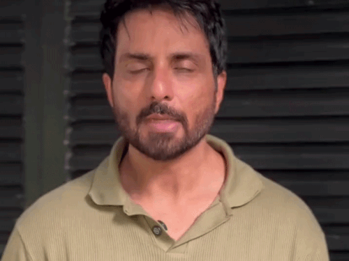 पंजाब के एक्टर सोनू स्ट्रे डॉग के लिए बनाएंगे घर:वीडियो शेयर कर कुत्तों को बताया सबसे वफादार, बोले-आर्डर रुकवाने को सब आवाज उठाएं