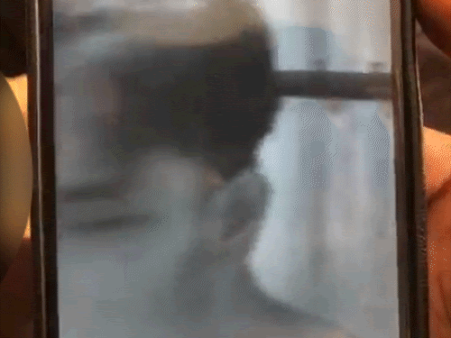 Ludhiana Boyfriend Suicide Case Girlfriend Video Chat Controversy