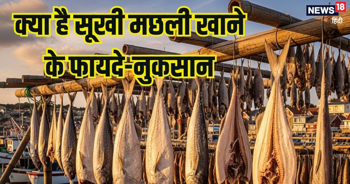 गलती से भी न खाएं ये मछली, शरीर में जाते बन जाएगी जहर, पेट दर्द, उल्टी, दस्त से होंगे परेशान, किडनी लिवर हो सकते हैं खराब!