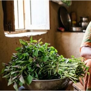 तस्वीर का विवरण