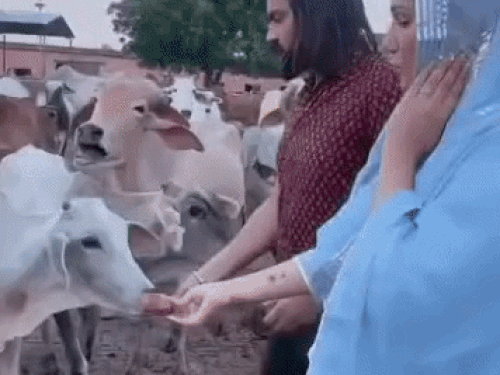 Sapna Choudhary & Husband Veer Sahu Love Statement