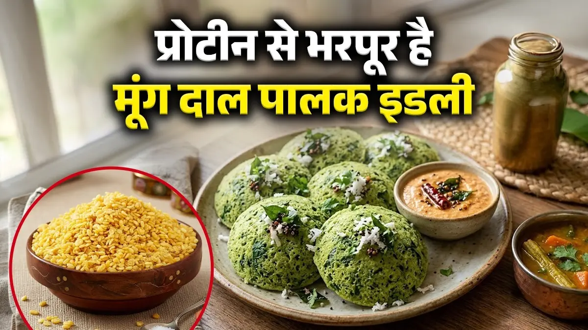 <!-- HTML_TAG_START --><p><strong>सामग्री:</strong> 1 कप धुली मूंग दाल, 1 कप बारीक कटा हुआ पालक, 1 हरी मिर्च, 1 छोटा टुकड़ा अदरक, 1/2 चम्मच जीरा, 1/2 चम्मच नमक, 1 चम्मच ईनो या 1/4 चम्मच बेकिंग सोडा, तेल<br> </p><!-- HTML_TAG_END --> <span class="graytxt">Image: AI</span>