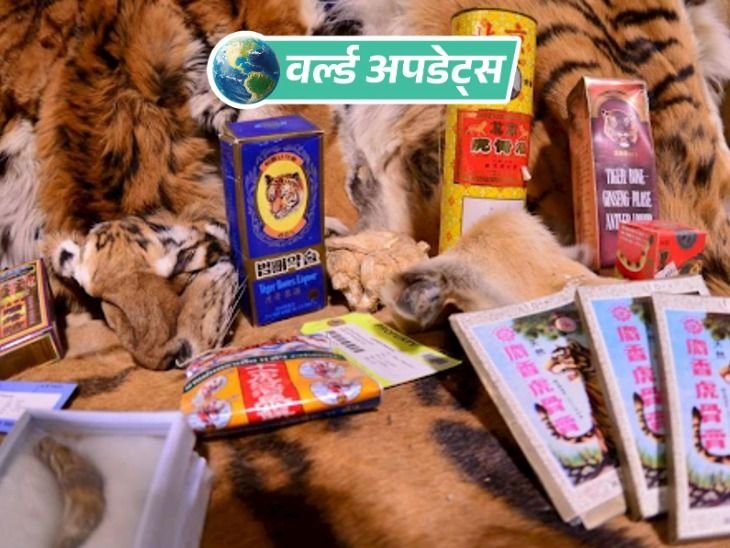 वर्ल्ड अपडेट्स:रिपोर्ट का दावा- फेसबुक बना अवैध वन्यजीव तस्करी का सबसे बड़ा ऑनलाइन बाजार