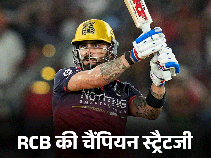 बेंगलुरु को दोबारा चैंपियन बनाने वाले टॉप-5 फैक्टर:टीम में 8 मैच विनर; कोहली ने 675 रन बनाए, भुवनेश्वर ने 28 विकेट लिए
