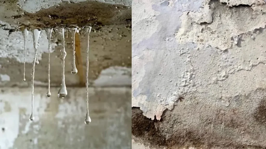 युक्तियाँ और चालें