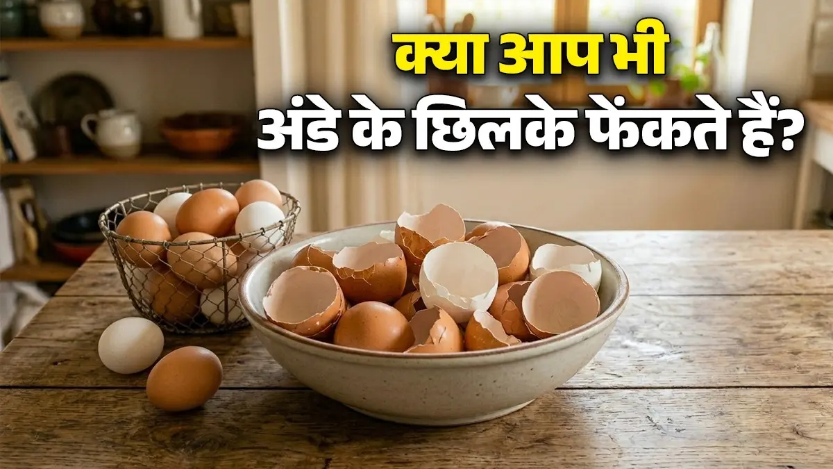 <!-- HTML_TAG_START --><p>छिलके का पाउडर स्किन के लिए एक्सफोलिएटर का काम करता है। थोड़ा एलोवेरा जेल या अंडे का सफेद भाग मिलाएं। इसे चेहरे पर हल्के हाथों से मसाज करें, जिससे डेड सेल्स साफ हो जाते हैं और दाग-धब्बे कम होते हैं।</p><!-- HTML_TAG_END --> <span class="graytxt">Image: freepik </span>