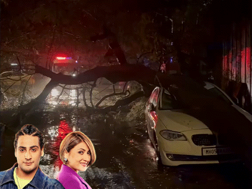 Urvashi Dholakias Son Kshitij Narrowly Escapes Tree Fall; Video
