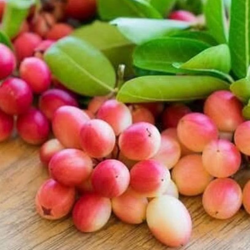 <!-- HTML_TAG_START --><p><strong>करोंदे का अचार बनाने के लिए सामग्री</strong>: 500 ग्राम ताजे करोंदे, 3 बड़े चम्मच सरसों का तेल, 2 बड़े चम्मच राई, 1 छोटा चम्मच सौंफ, 1 छोटा चम्मच मेथी दाना, 1 छोटा चम्मच कलौंजी, 1 छोटा चम्मच हल्दी पाउडर, </p><!-- HTML_TAG_END --> <span class="graytxt">Image: Freepik</span>
