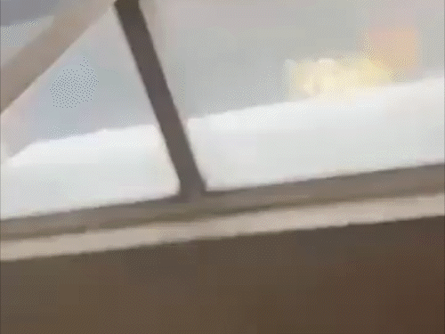 सीरिया में फ्रांसीसी राष्ट्रपति मैक्रों के दौरे के बीच धमाका:जिस होटल में ठहरना था उसके पास ब्लास्ट, सुरक्षा बढ़ाई गई
