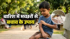 मानसून मच्छर रोग