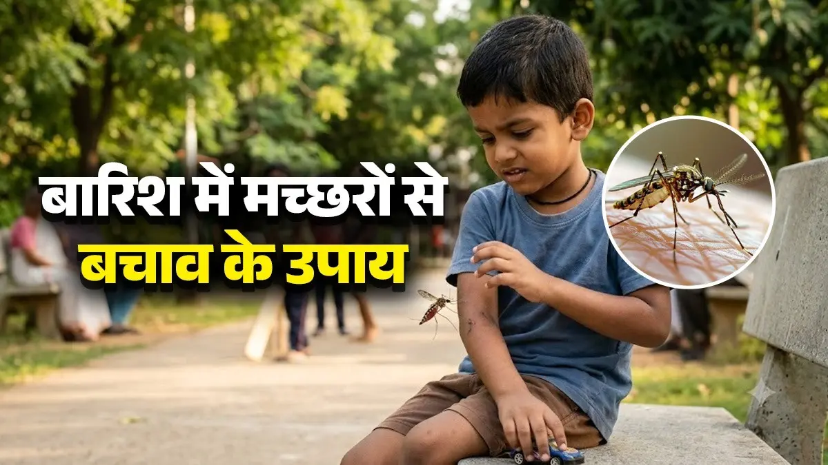 <!-- HTML_TAG_START --><p><strong>पानी जमा न होने दें: </strong>मच्छर हमेशा रुके हुए पानी में पनपते हैं। अपने घर के आस-पास, छतों पर या खाली गमलों और टायरों में पानी बिल्कुल जमा न होने दें। यही डेंगू के मच्छरों का सबसे बड़ा घर है।</p><!-- HTML_TAG_END --> <span class="graytxt">Image: freepik</span>