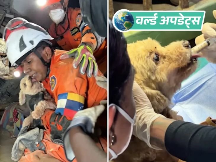 वर्ल्ड अपडेट्स:वेनेजुएला में चमत्कार: मलबे में 8 दिन से फंसा कुत्ता जिंदा मिला, रेस्क्यू टीम ने सुरक्षित निकाला