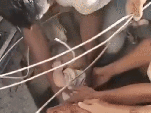 कोलंबिया भूकंप के 48 घंटे बाद नवजात बच्चे का रेस्क्यू:पांच मंजिला इमारत के नीचे दबा मिला; अब तक 224 लोगों की मौत