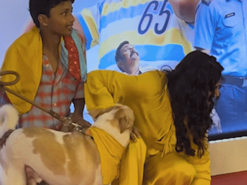 स्क्रीनिंग में कुत्ते ने किया रवीना टंडन पर हमला:बाल-बाल बचीं, कपड़े भी खींचे, बाद में कहा- उसने मुझ पर हमला नहीं किया