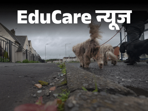 UK Lawyer Henry Attenborough Quits Job To Become Full Time Dog Walker